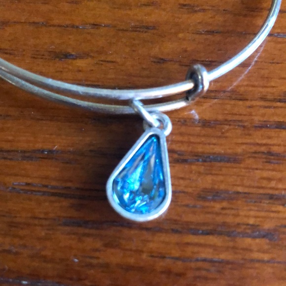 💎 Alex and Ani 💎Charm Bracelet - Picture 6 of 6